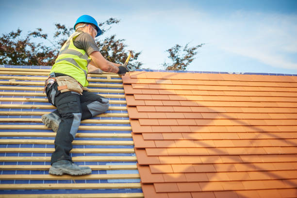 Best Solar Panel Roofing Installation  in Rincon Valley, AZ